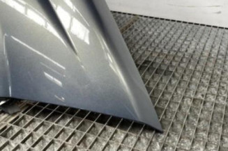 Aile avant droit RENAULT MEGANE 2