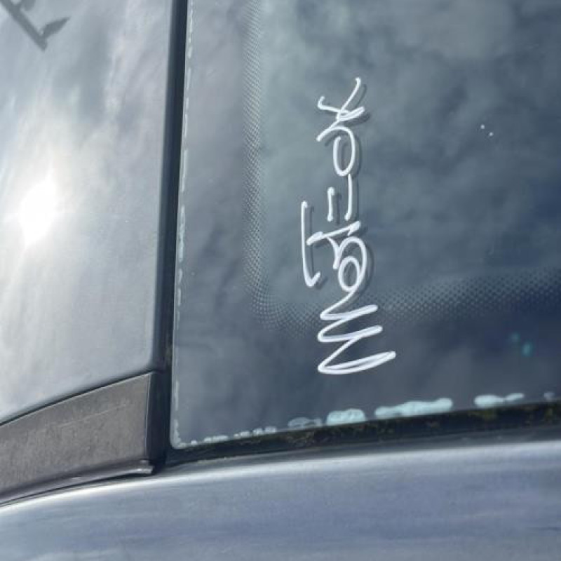 Amortisseur avant droit PEUGEOT 207 Photo n°5
