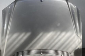 Capot MERCEDES CLASSE S 220 Photo n°1