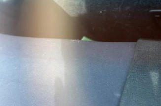 Air bag conducteur NISSAN JUKE 1