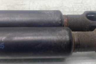 Verin de coffre BMW Z4 E85