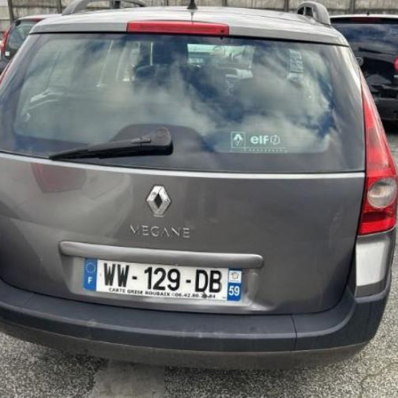 Feu arriere principal gauche (feux) RENAULT MEGANE 2 Photo n°13