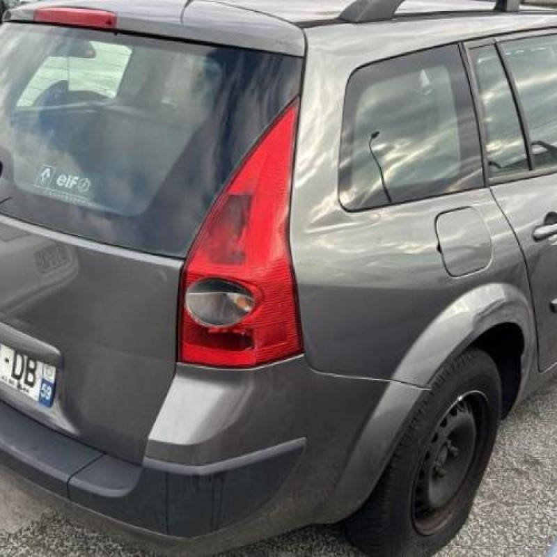 Feu arriere principal gauche (feux) RENAULT MEGANE 2 Photo n°14