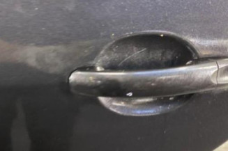 Porte arriere gauche VOLKSWAGEN GOLF PLUS