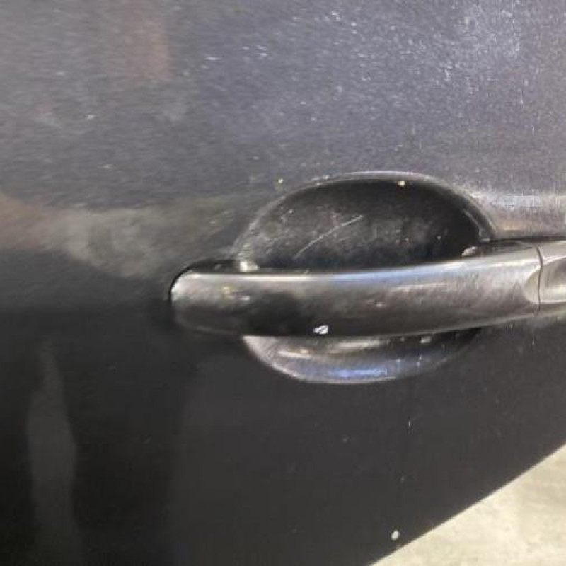 Porte arriere gauche VOLKSWAGEN GOLF PLUS Photo n°2