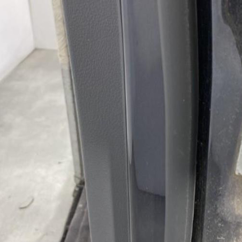 Porte arriere gauche VOLKSWAGEN GOLF PLUS Photo n°5
