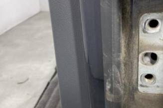Porte arriere gauche VOLKSWAGEN GOLF PLUS