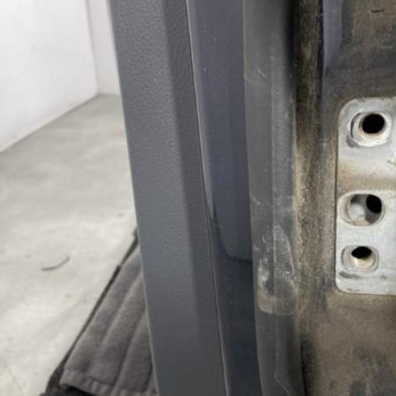 Porte arriere gauche VOLKSWAGEN GOLF PLUS Photo n°6