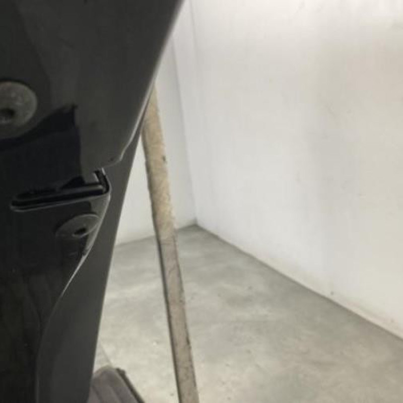 Porte arriere gauche VOLKSWAGEN GOLF PLUS Photo n°7