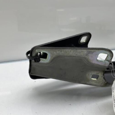 Charniere de capot RENAULT MEGANE 3