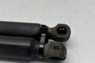 Verin de coffre PEUGEOT 2008 1
