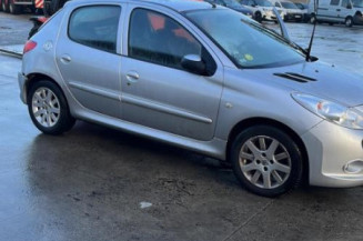 Verin de coffre PEUGEOT 206+
