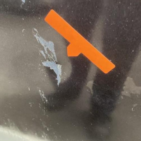 Porte arriere gauche OPEL MERIVA B