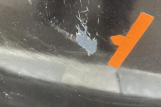 Porte arriere gauche OPEL MERIVA B