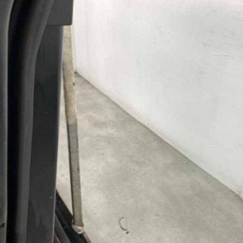 Porte arriere gauche OPEL MERIVA B Photo n°4