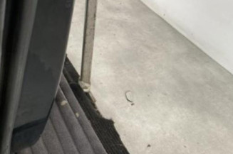 Porte arriere gauche OPEL MERIVA B