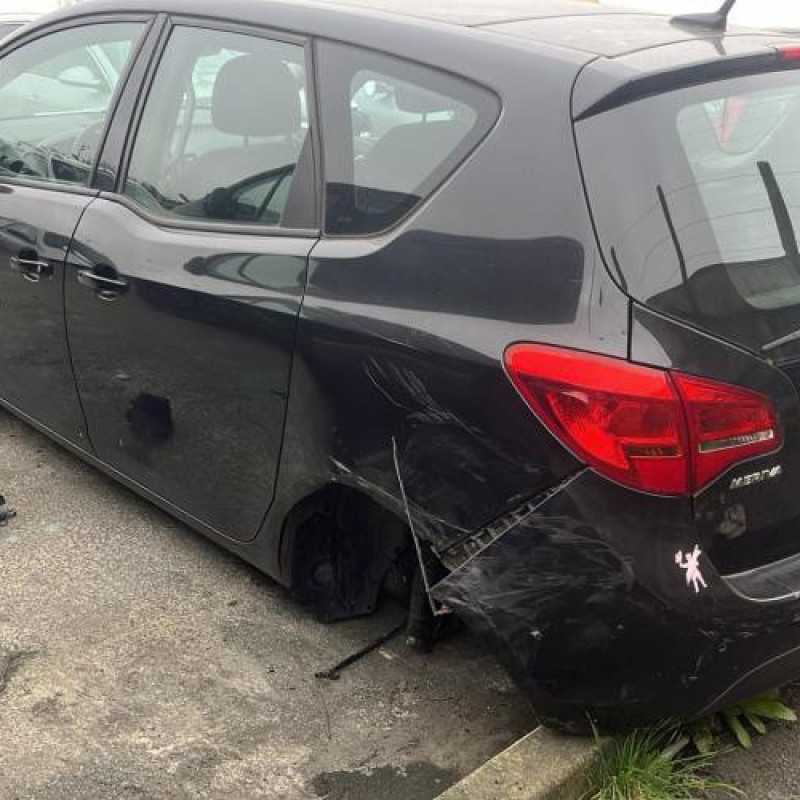 Porte arriere gauche OPEL MERIVA B Photo n°9