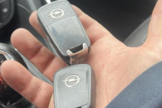 Porte arriere gauche OPEL MERIVA B