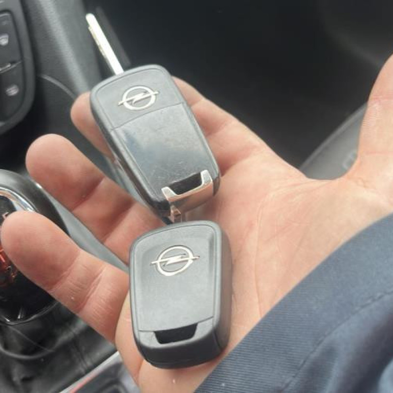 Porte arriere gauche OPEL MERIVA B Photo n°15