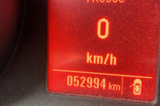 Porte arriere gauche OPEL MERIVA B