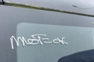 Porte arriere gauche OPEL MERIVA B