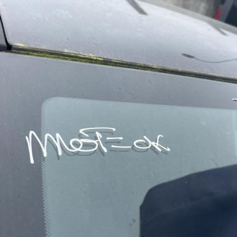 Porte arriere gauche OPEL MERIVA B Photo n°18