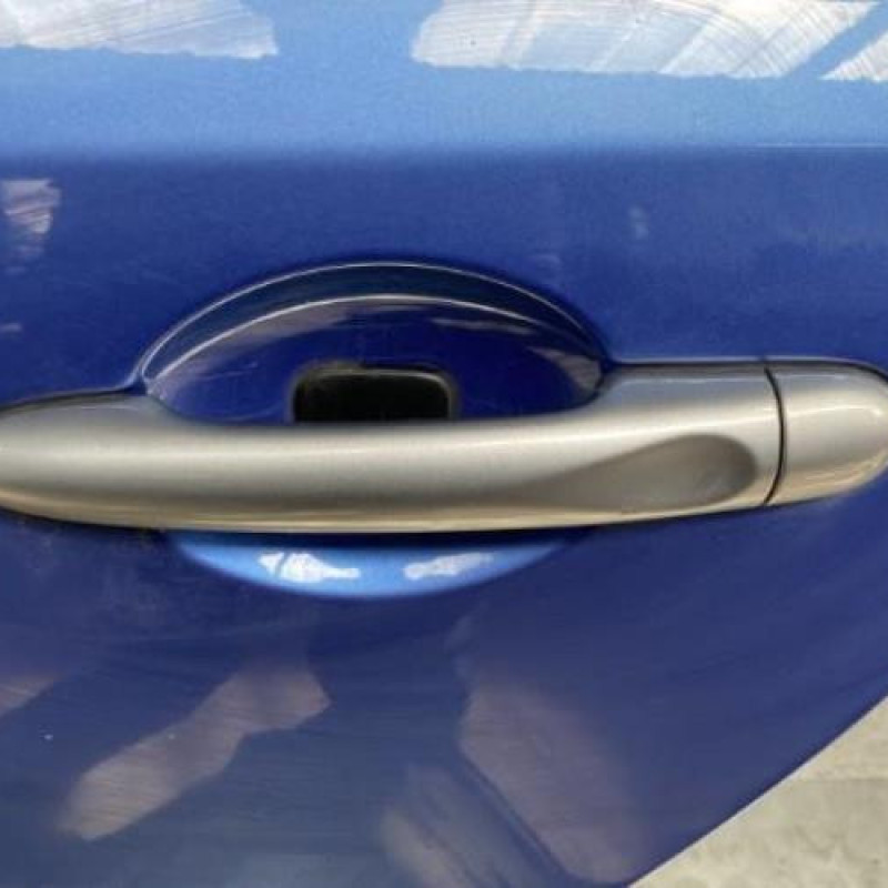 Porte arriere gauche RENAULT MEGANE 3 Photo n°2