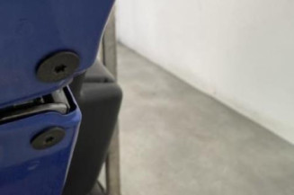 Porte arriere gauche RENAULT MEGANE 3