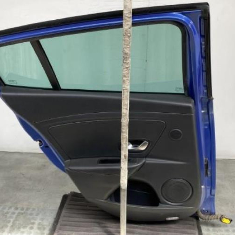 Porte arriere gauche RENAULT MEGANE 3 Photo n°9