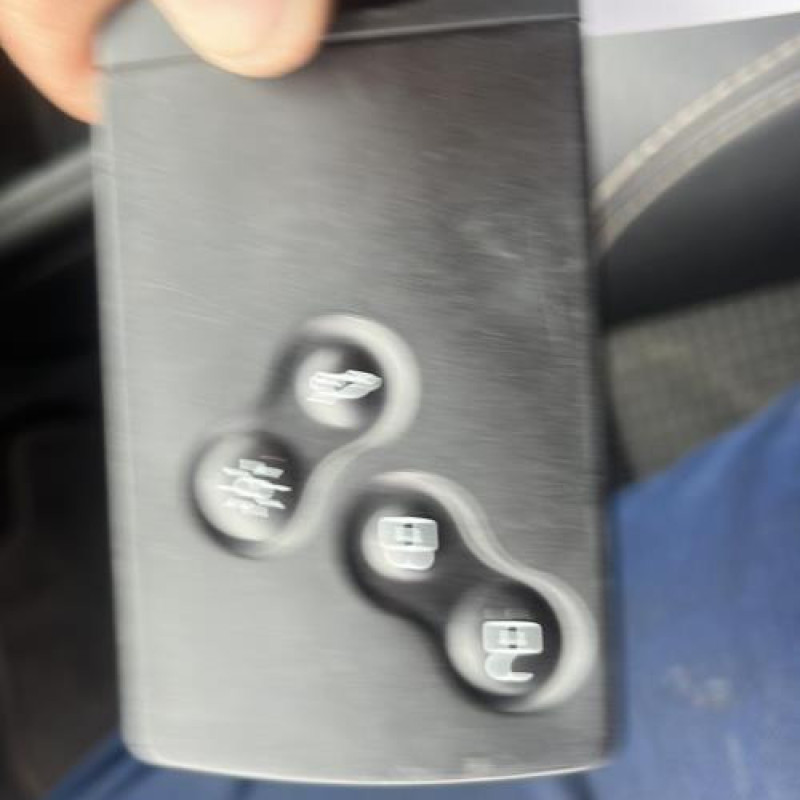 Porte arriere gauche RENAULT MEGANE 3 Photo n°16