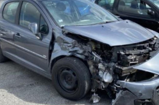 Porte avant droit PEUGEOT 207