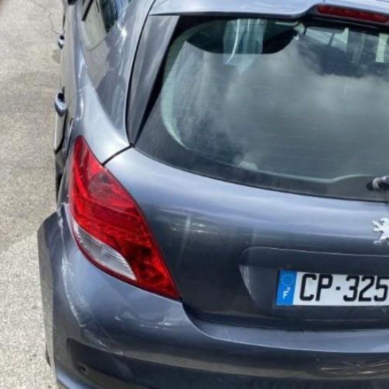 Porte avant droit PEUGEOT 207 Photo n°12