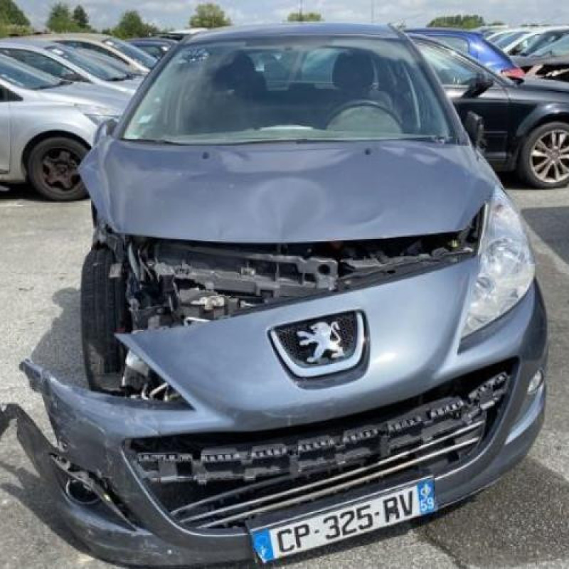 Porte avant droit PEUGEOT 207 Photo n°13