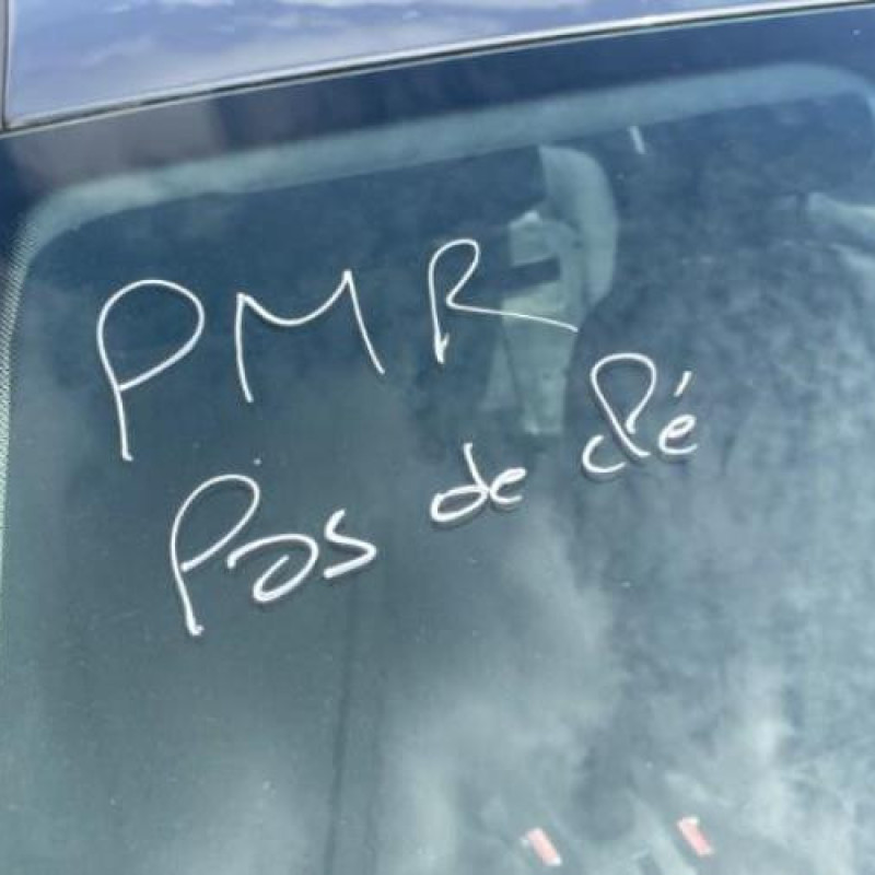 Porte avant droit PEUGEOT 207 Photo n°19