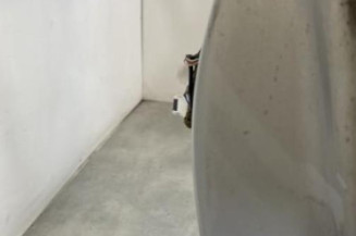 Porte arriere gauche RENAULT ESPACE 4