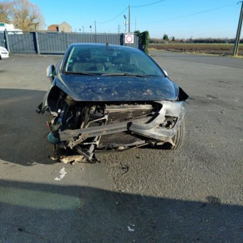 Porte avant droit PEUGEOT 207 Photo n°6