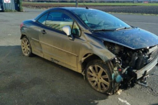 Porte avant droit PEUGEOT 207
