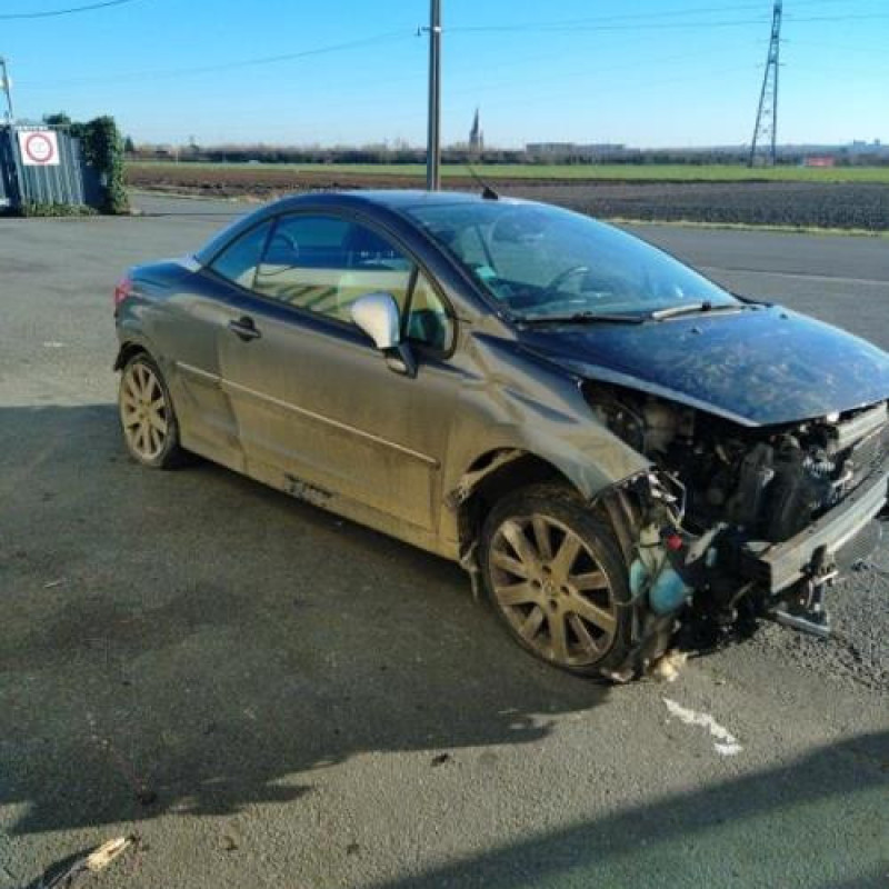 Porte avant droit PEUGEOT 207 Photo n°7