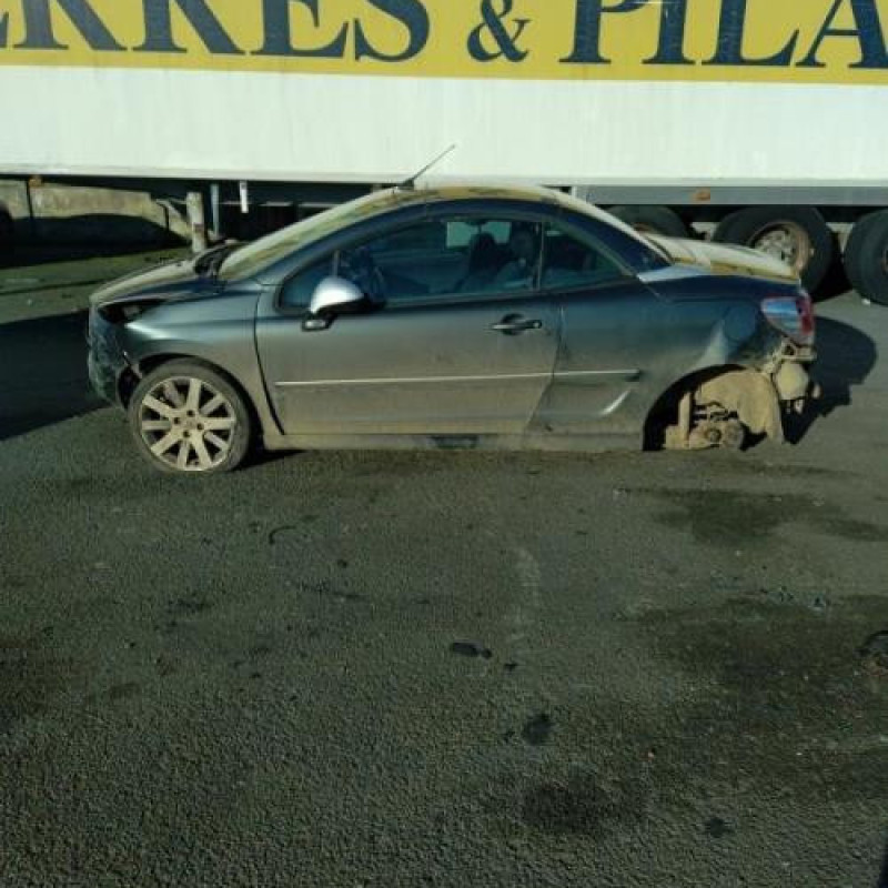 Porte avant droit PEUGEOT 207 Photo n°8