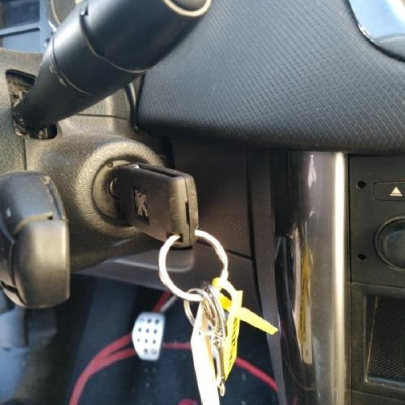 Porte avant droit PEUGEOT 207 Photo n°15