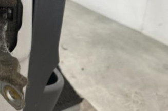 Porte avant droit CITROEN C2