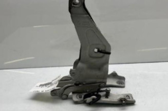 Charniere de capot BMW X5 E70 Photo n°1