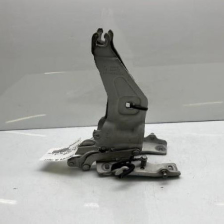 Charniere de capot BMW X5 E70 Photo n°1