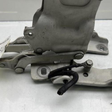 Charniere de capot BMW X5 E70