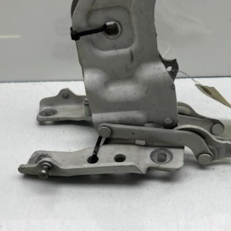 Charniere de capot BMW X5 E70 Photo n°3