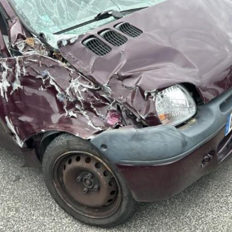 Pulseur d'air RENAULT TWINGO 1 Photo n°6