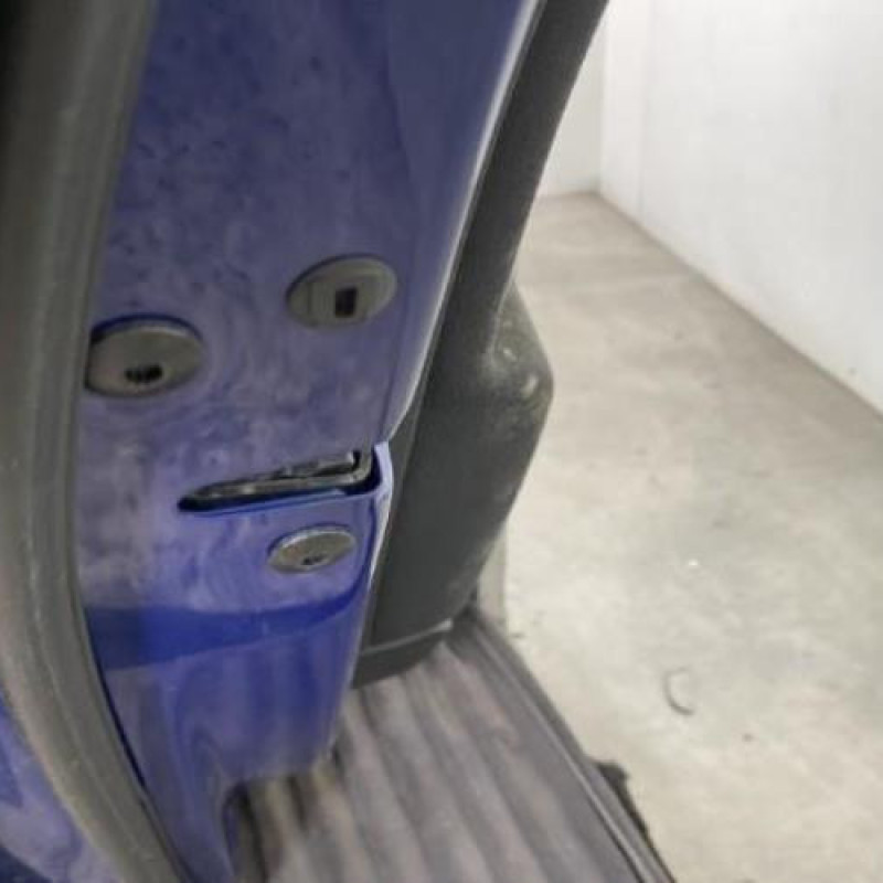Porte arriere gauche VOLKSWAGEN PASSAT 5 Photo n°3