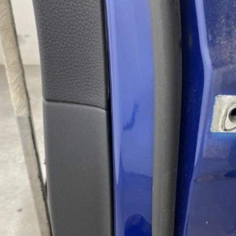 Porte arriere gauche VOLKSWAGEN PASSAT 5 Photo n°5