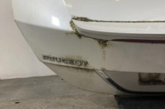Malle/Hayon arriere PEUGEOT 308 1