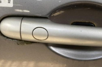 Porte avant droit RENAULT SCENIC 2